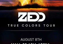 Zedd Live in Manila 2015