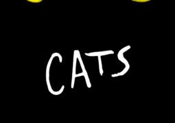 Cats the Musical 2019